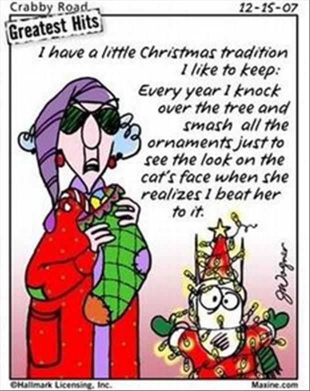 funny christmas pictures (6)