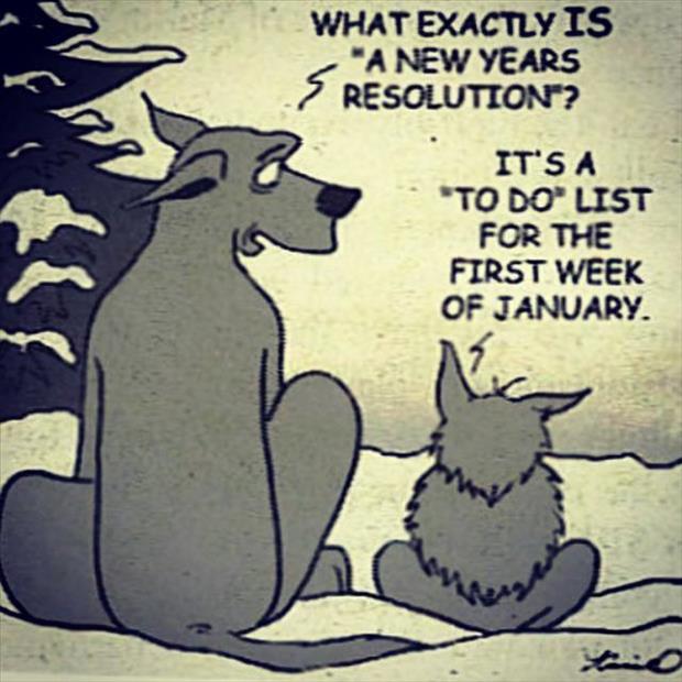 funny new years resolutions