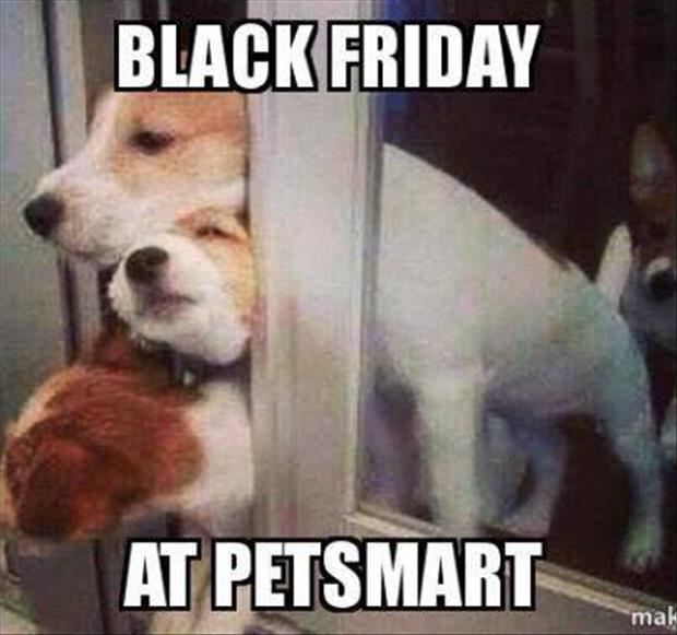 funny petsmart