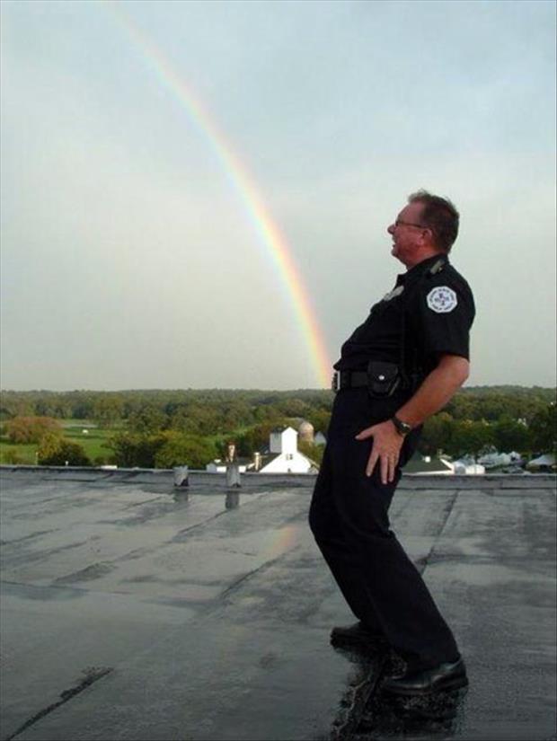 funny pictures of rainbows and guys, dumpaday (15)