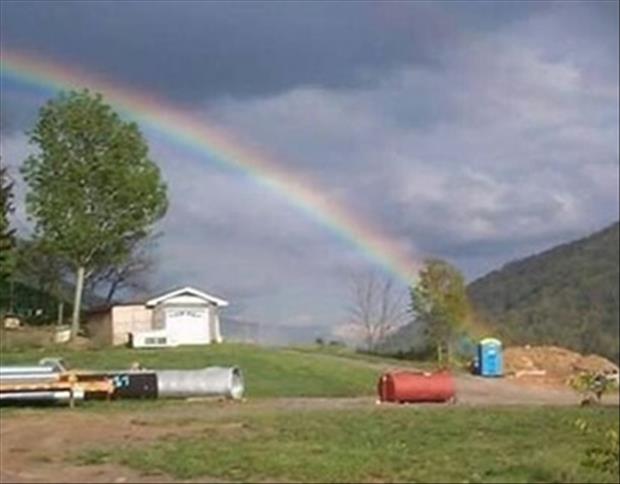 funny rainbows (11)