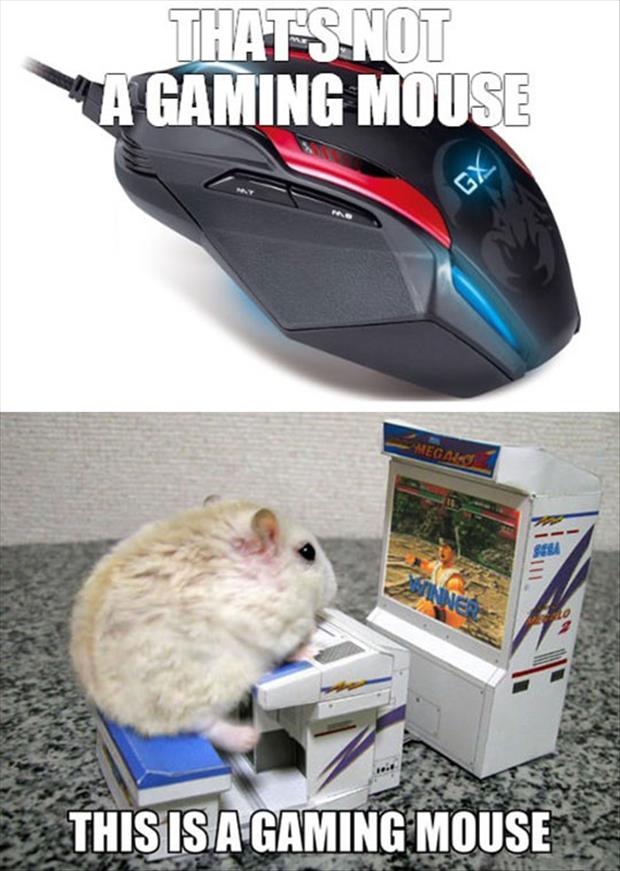 gaming mouse