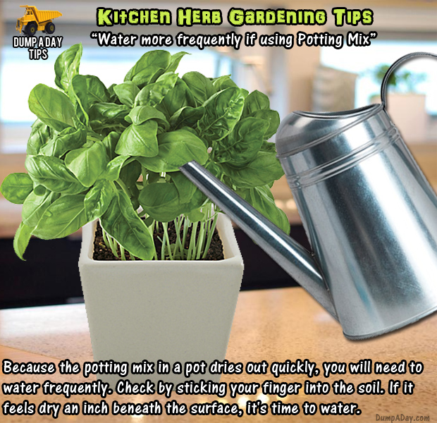 herb garden tips (1)