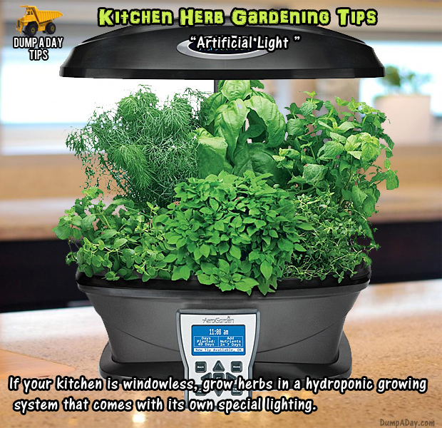 herb garden tips (2)