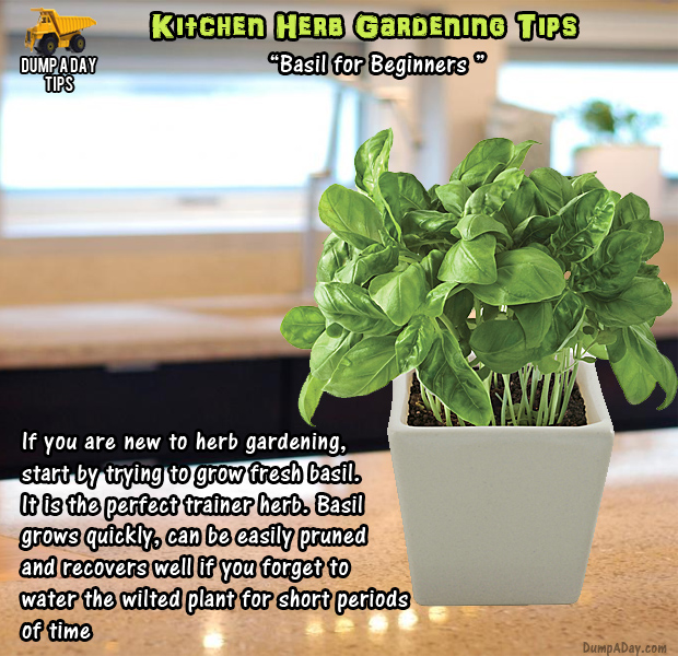 herb garden tips (3)