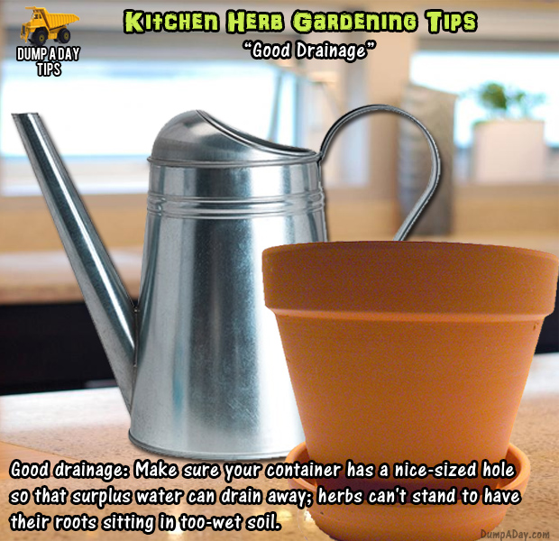 herb garden tips (5)