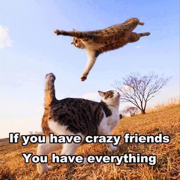 if you have crazy friends