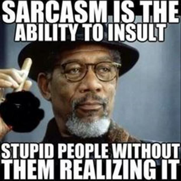 sarcasm (8)