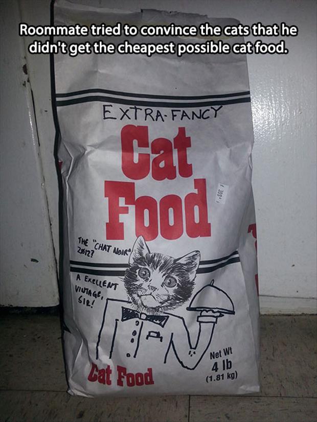 the extra fancy cat food