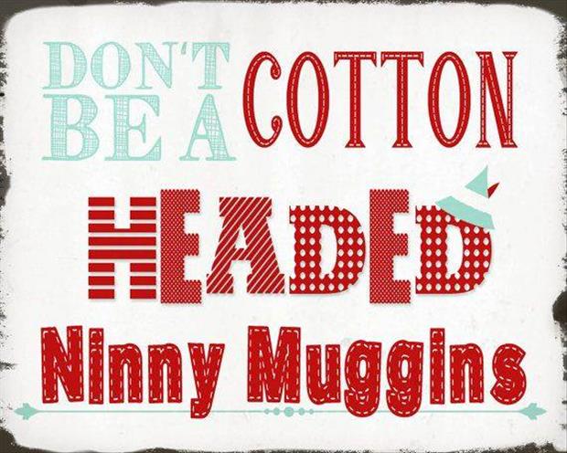you shouldn't be a cotton headed ninny muggans