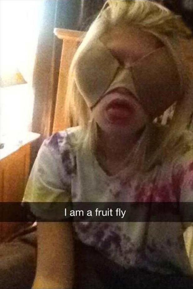 Im a fruit fly