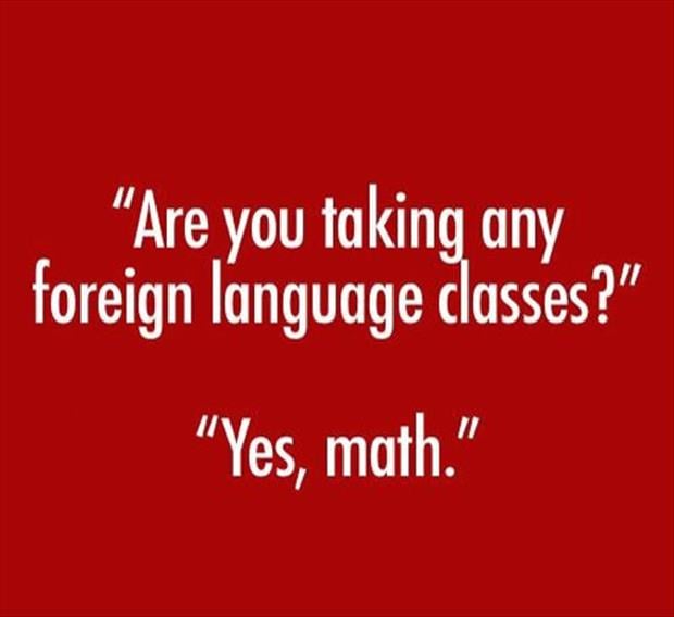 are you taking any foreign language classes