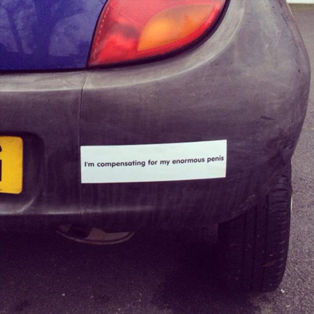 best bumper stickers (6)