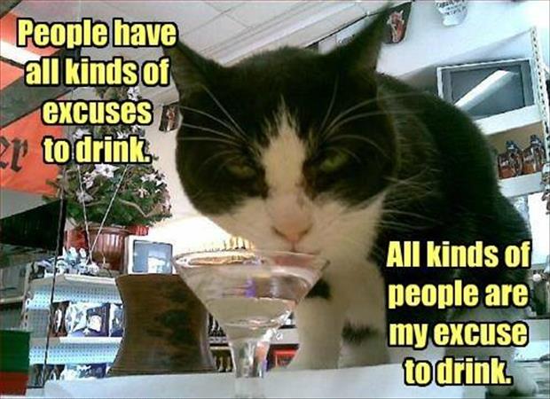 cat drinking