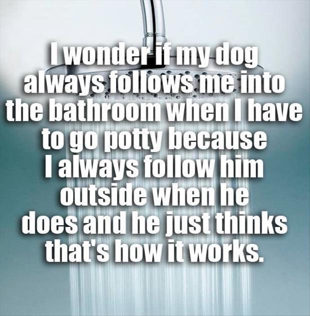 dog thoughts