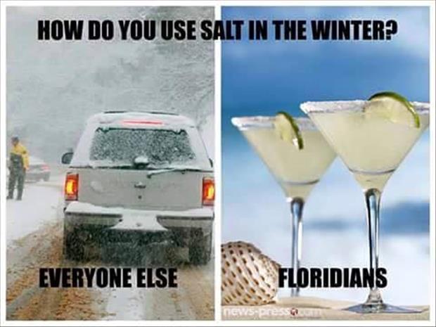 how to use salt in the winter