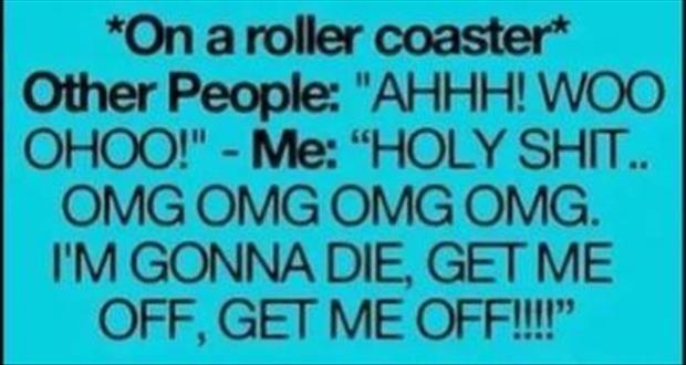 me on a roller coaster