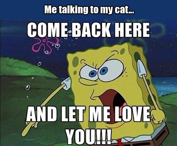me talking to my cat