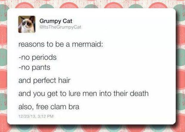 reasons to be a mermaid