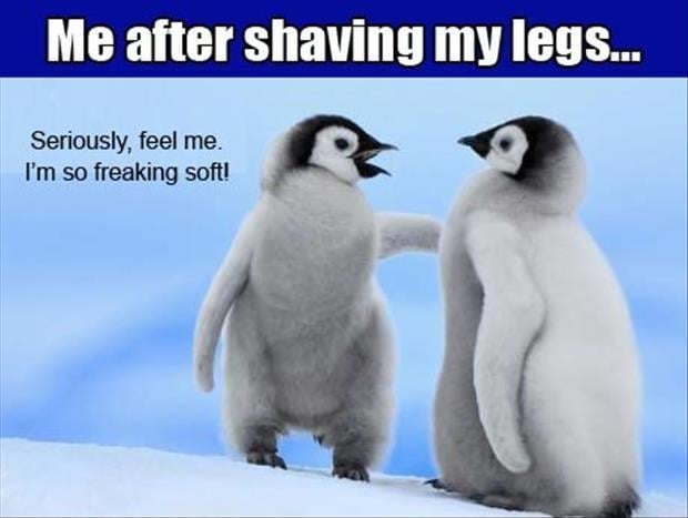 shaving my legs