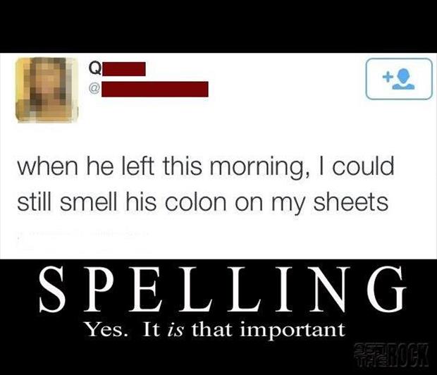 spelling is important