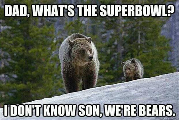 superbowl funny pictures