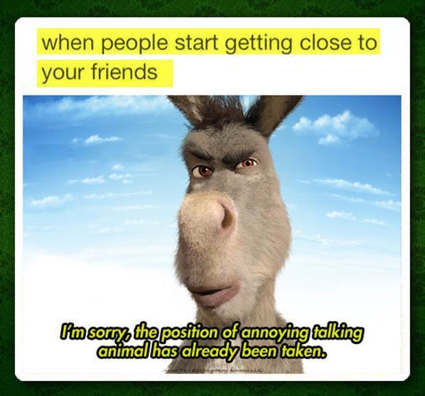 talking donkey