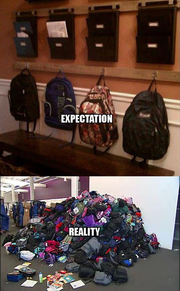 the expectation vs reality