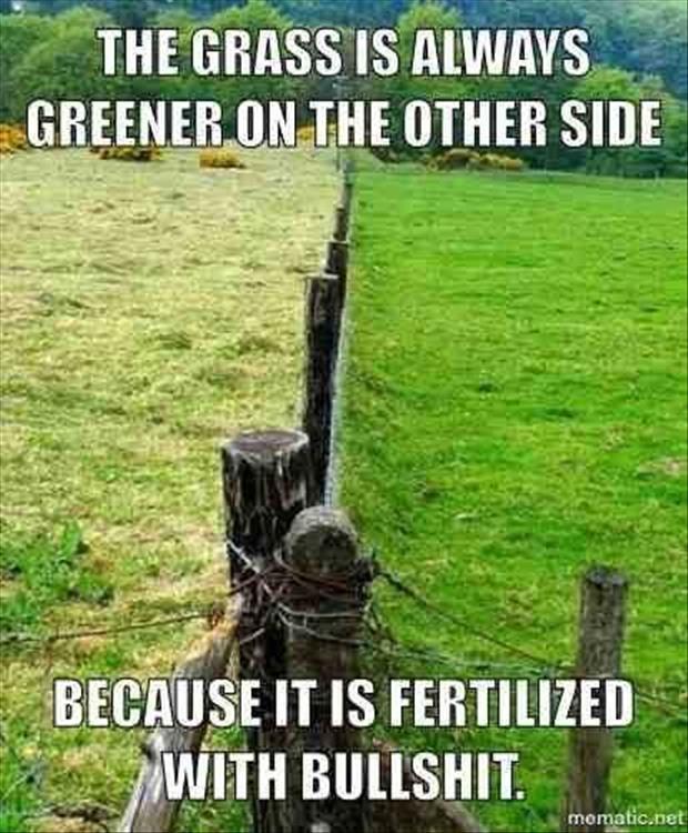 the grass is always greener