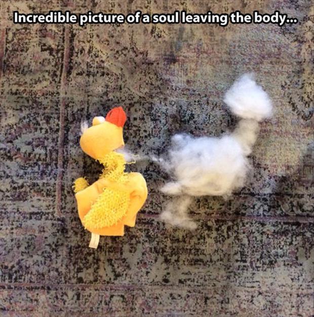 the soul leaving the body