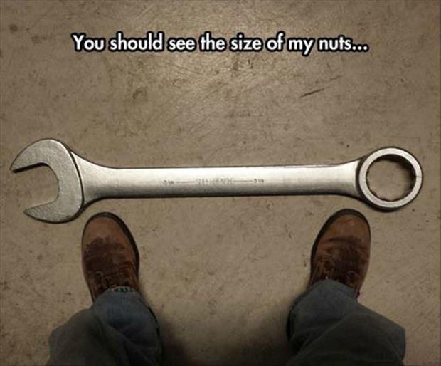 you should see the size of my nuts