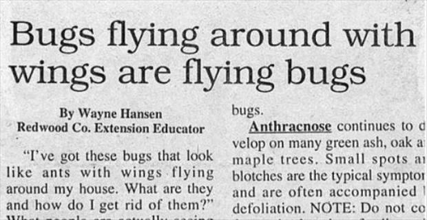 fun headlines (5)