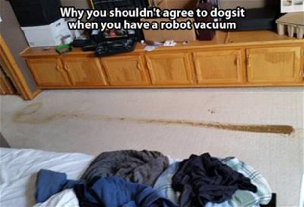 funny dog shit on the carpet