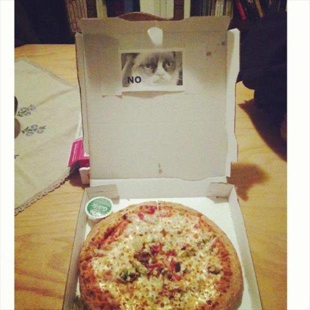 funny pizza boxes (4)