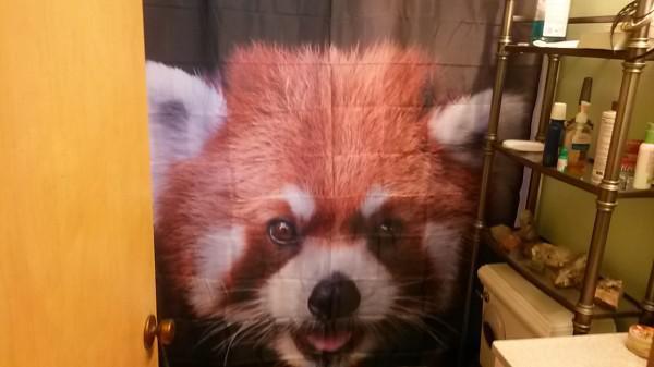 funny shower curtains (21)