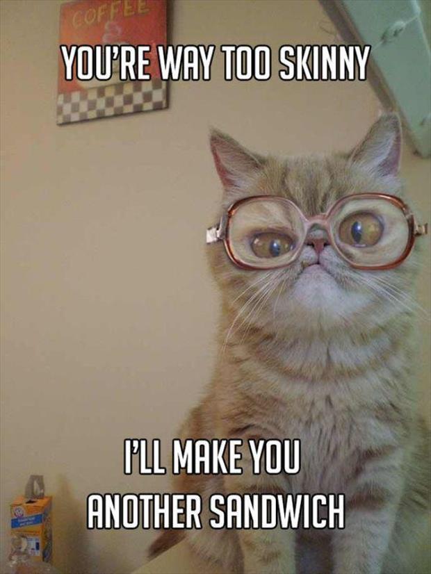 grandma cat meme (5)