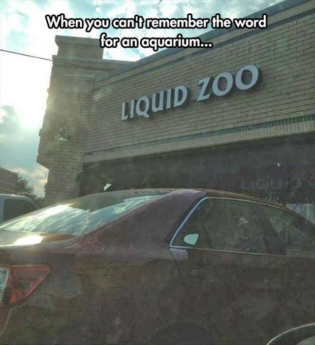 liquid zoo