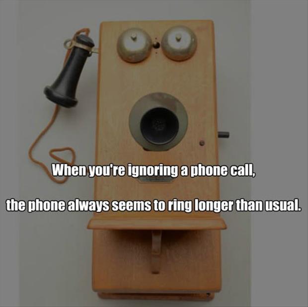 phone ringing