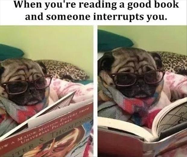 reading a good book