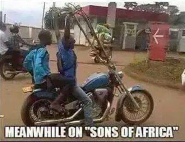 sons of africa