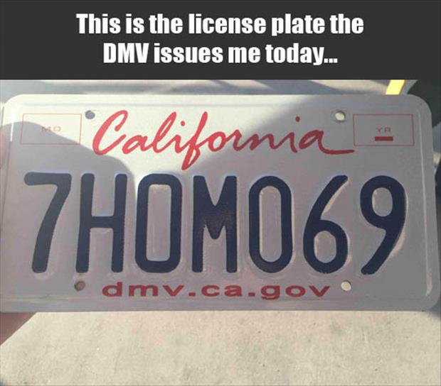 thanks dmv