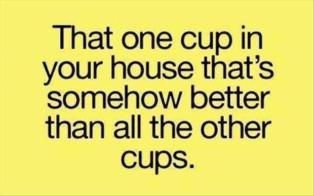 that one cup