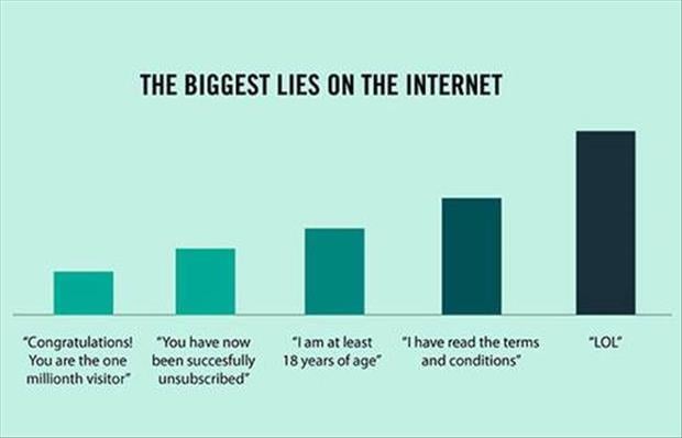 the biggest lie on the internet