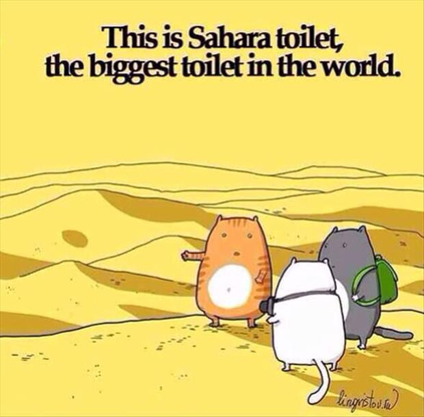 the biggest toilet in the world