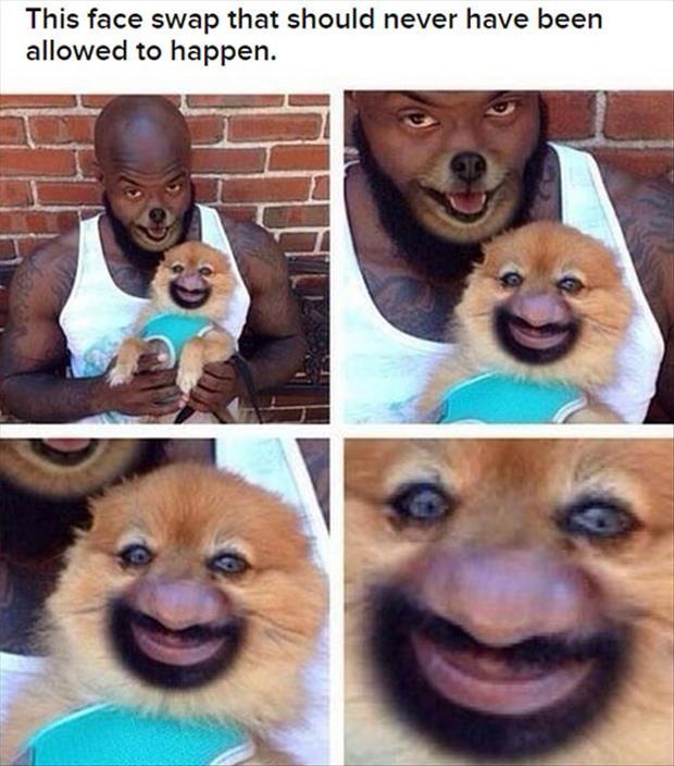 the face swap