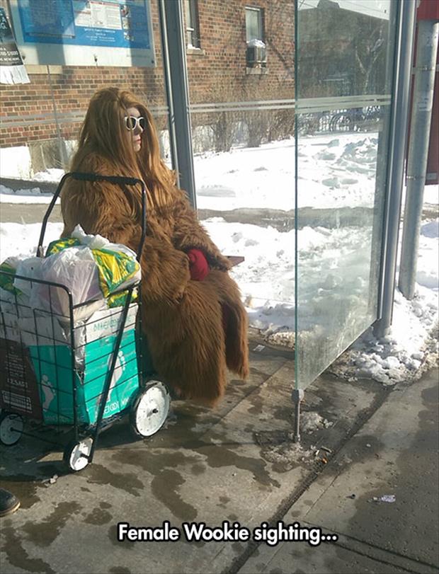 the lady wookie