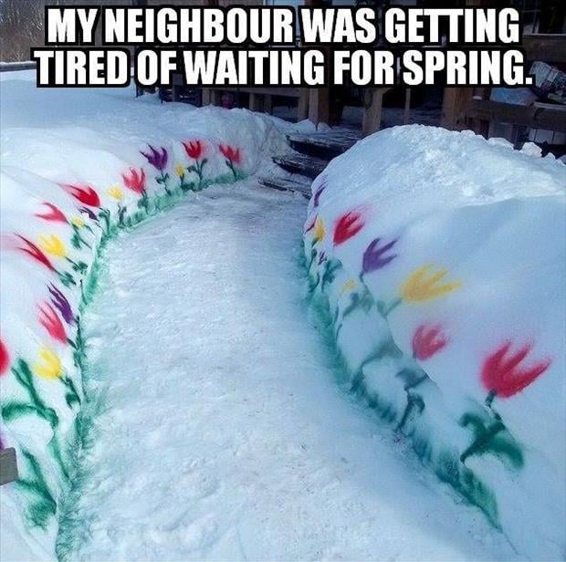 waiting for spring