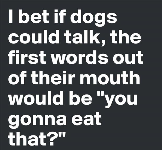 http://www.dumpaday.com/wp-content/uploads/2015/02/what-if-dogs-could-talk.jpg