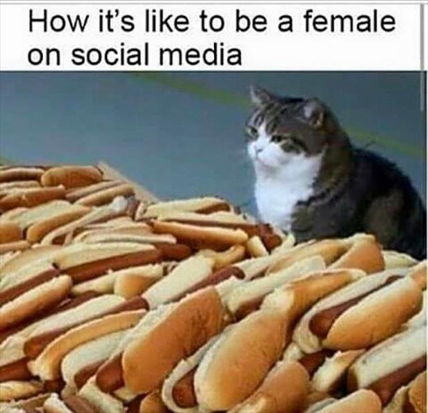 what its like being a woman on social media