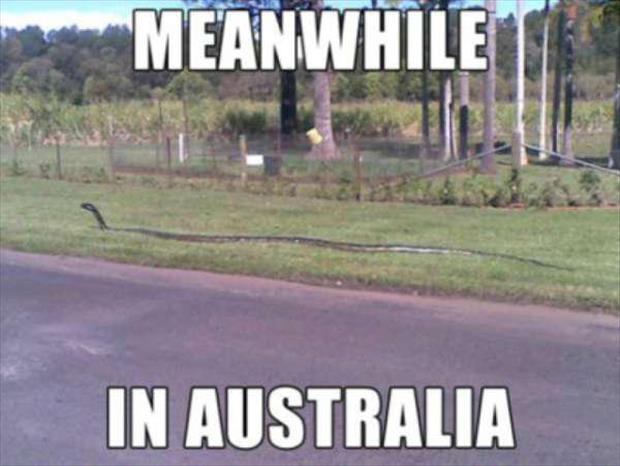 Australia is weird (5)